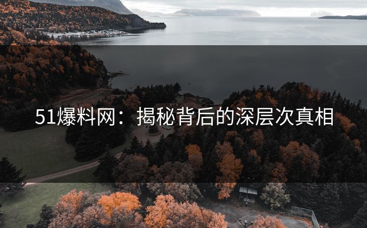 51爆料网：揭秘背后的深层次真相