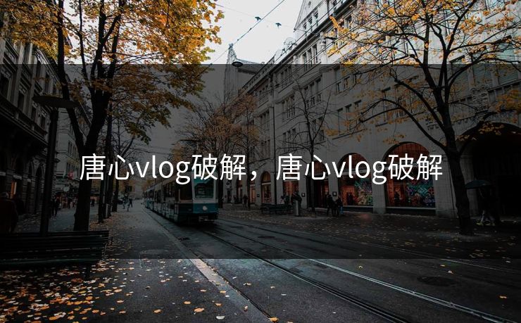 唐心vlog破解，唐心vlog破解