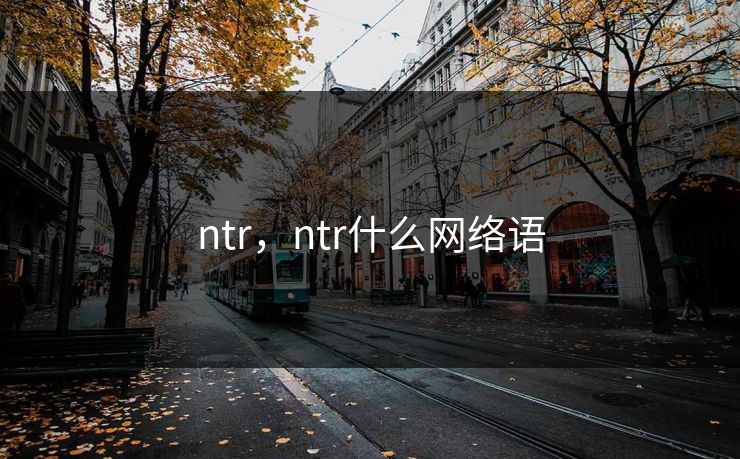 ntr，ntr什么网络语